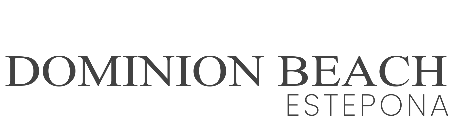 DOMINION GRIS SIN LOGO