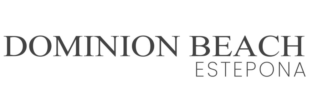 cropped DOMINION GRIS SIN LOGO.png